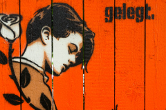 zwickau-graffiti-27